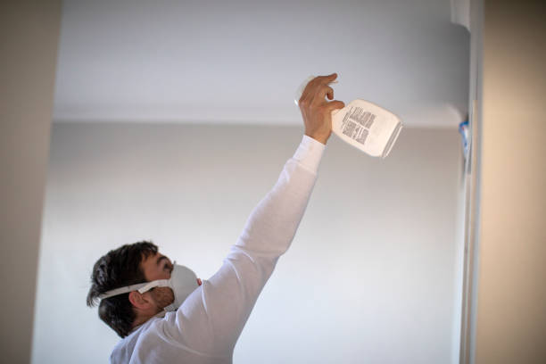 Best Industrial Mold Remediation in Wedgefield, FL